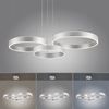 Lustre 3 cercles suspendus SCULLI finition Acier