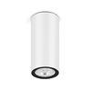 Plafonnier cylindrique extérieur AGO UP POWER blanc RAL9010