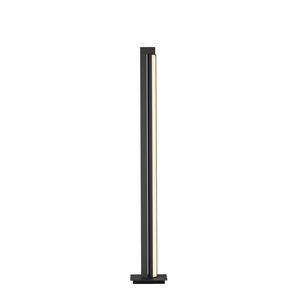 Lampadaire orientable Pure LINES finition Anthracite avec télécommande